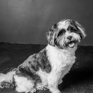 Fundraising Page: Chianne Barnum